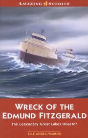 Cover of: The Wreck of the Edmund Fitzgerald by Elle Andra-Warner