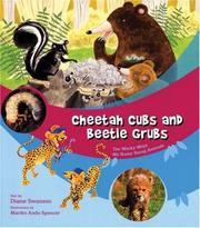Cover of: Cheetah Cubs and Beetle Grubs | Diane Swanson