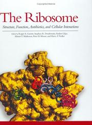 Cover of: The Ribosome: Structure, Function, Antibiotics, and Cellular Interactions