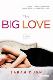 Cover of: The Big Love by Sarah Dunn
