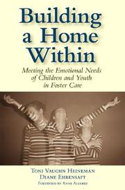 Cover of: Building a Home Within: Meeting the Emotional Needs of Children And Youth in Foster Care
