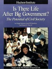 Cover of: Is There Life After Big Government?: The Potential of Civil Society