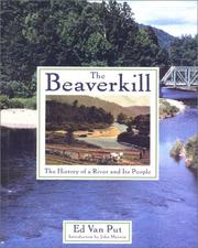 The Beaverkill by Ed Van Put