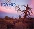 Cover of: Idaho Calendar 2002