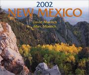 Cover of: New Mexico Calendar 2002