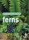 Cover of: Gardening With Ferns
