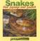 Cover of: Snakes That Squeeze and Snatch (Stone, Lynn M. Eye to Eye With Snakes.)