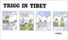 Cover of: Trigg in Tibet.