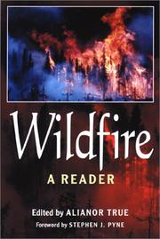 Cover of: Wildfire by Alianor True