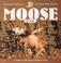 Cover of: Moose for Kids (Wildlife for Kids Series, No 7)