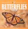 Cover of: Butterflies for kids