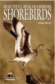 Cover of: Shorebirds: beautiful beachcombers