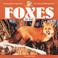 Cover of: Foxes for kids