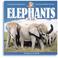 Cover of: Elephants for kids