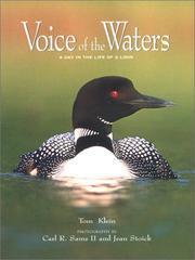 Cover of: Voice of the Waters by Tom Klein