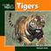 Cover of: Tigers (Our Wild World)