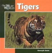 Cover of: Tigers (Our Wild World) by Gwenyth Swain