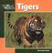 Cover of: Tigers (Our Wild World)