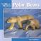 Cover of: Polar Bears (Our Wild World)