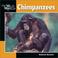 Cover of: Chimpanzees (Our Wild World)