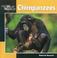 Cover of: Chimpanzees (Our Wild World)