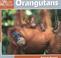 Cover of: Orangutans (Our Wild World)