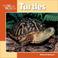 Cover of: Turtles (Our Wild World)