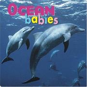 Cover of: Ocean Babies