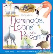 Cover of: Flamingos, loons, and pelicans