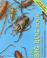 Cover of: The Big Bug Book