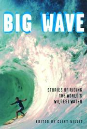 Cover of: Big wave by edited by Clint Willis.