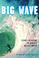 Cover of: Big wave