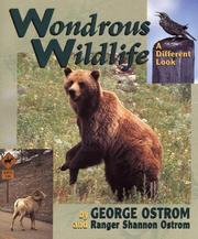 Cover of: Wondrous wildlife: a different look