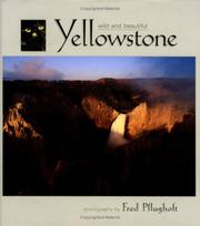 Cover of: Yellowstone Wild & Beautiful by Fred Pflugholt
