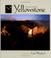 Cover of: Yellowstone Wild & Beautiful