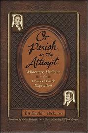 Cover of: Or Perish in the Attempt by David J. Peck
