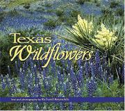 Cover of: Texas Wildflowers