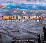 Cover of: Portrait of Yellowstone | David William Peterson