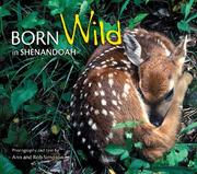 Cover of: Born Wild in Shenandoah