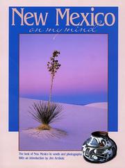 Cover of: New Mexico on my mind.