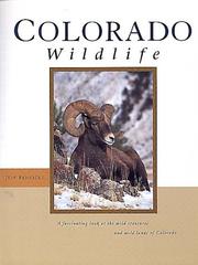 Colorado Wildlife by Jeff Rennicke