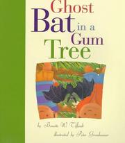 Ghost bat in a gum tree