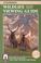 Cover of: Colorado Wildlife Viewing Guide