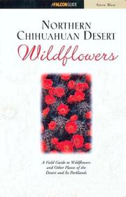 Cover of: Northern Chihuahuan Desert Wildflowers