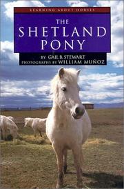 Cover of: The Shetland pony by Gail Stewart