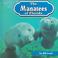 Cover of: The manatees of Florida