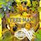 Cover of: Tree man