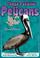 Cover of: Those Peculiar Pelicans