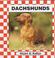 Cover of: Dachshunds
