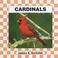 Cover of: Cardinals